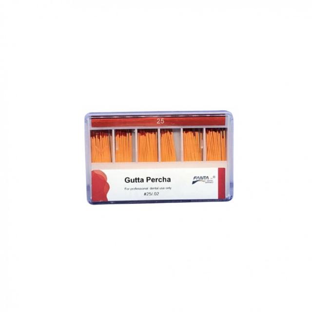 Fanta Gutta Percha #25 Taper 2%